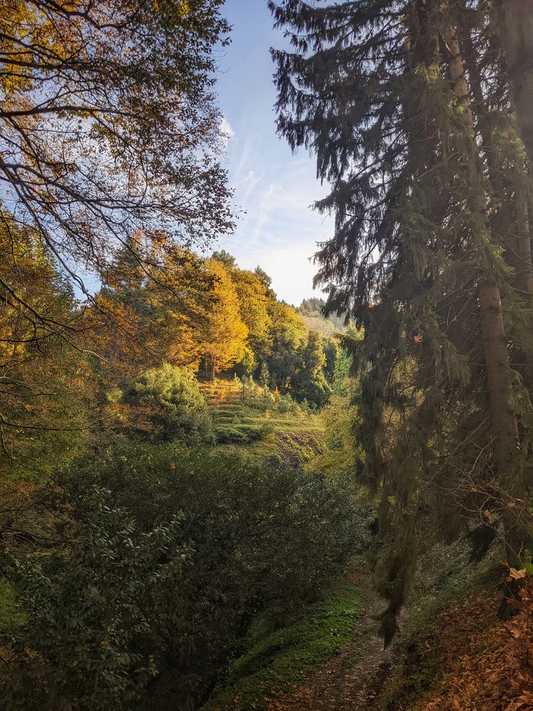 Photograph by Дудников Александр