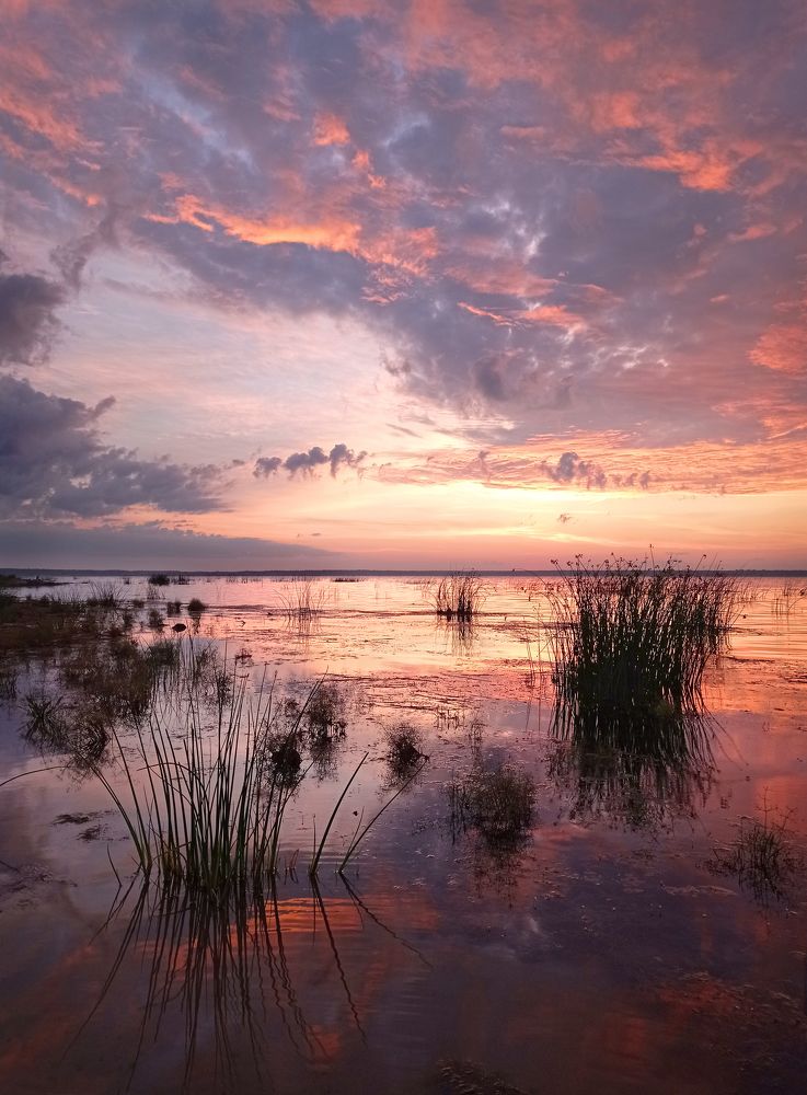 Photograph by Кухта Мария