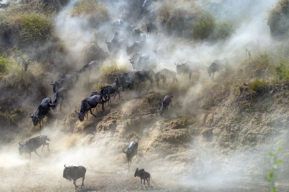 Photograph by Dilip Shah