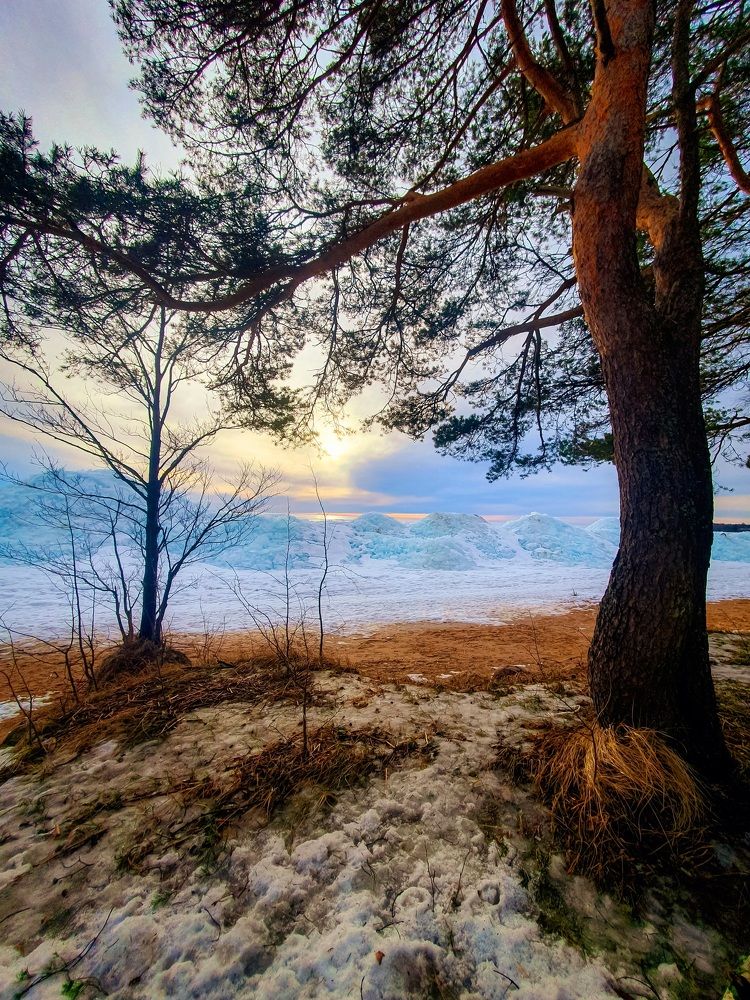 Photograph by Константин Леонюк