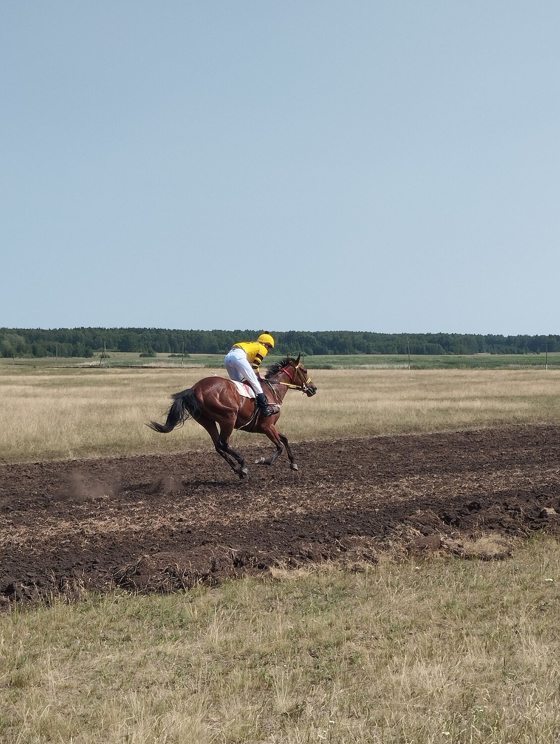 Photo #10417145