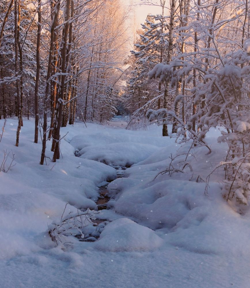 Photograph by Ольга Попова