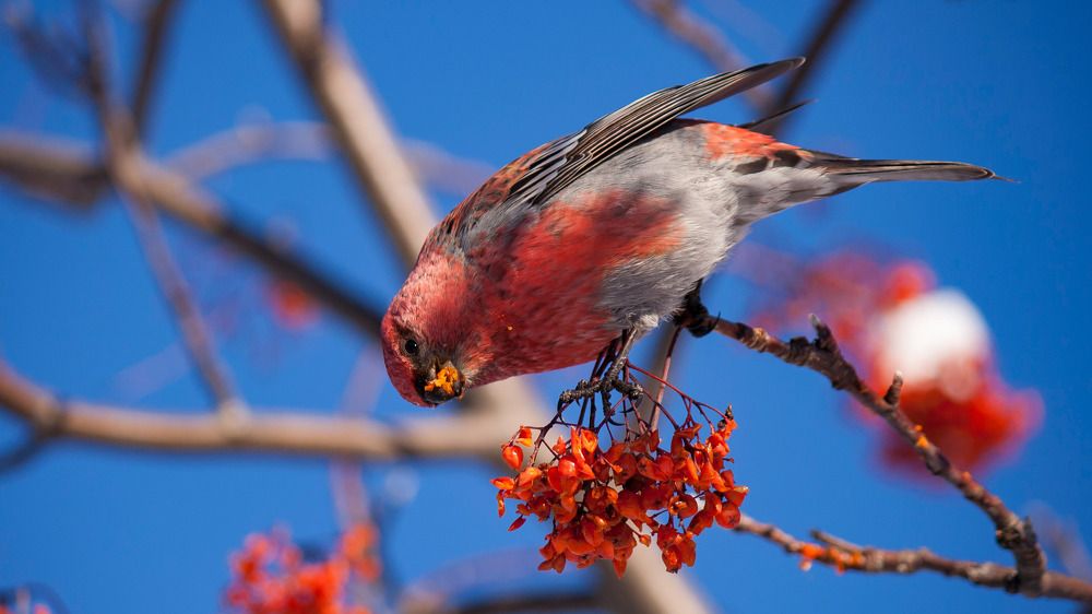 Photograph by Ilya Ovcharenko
