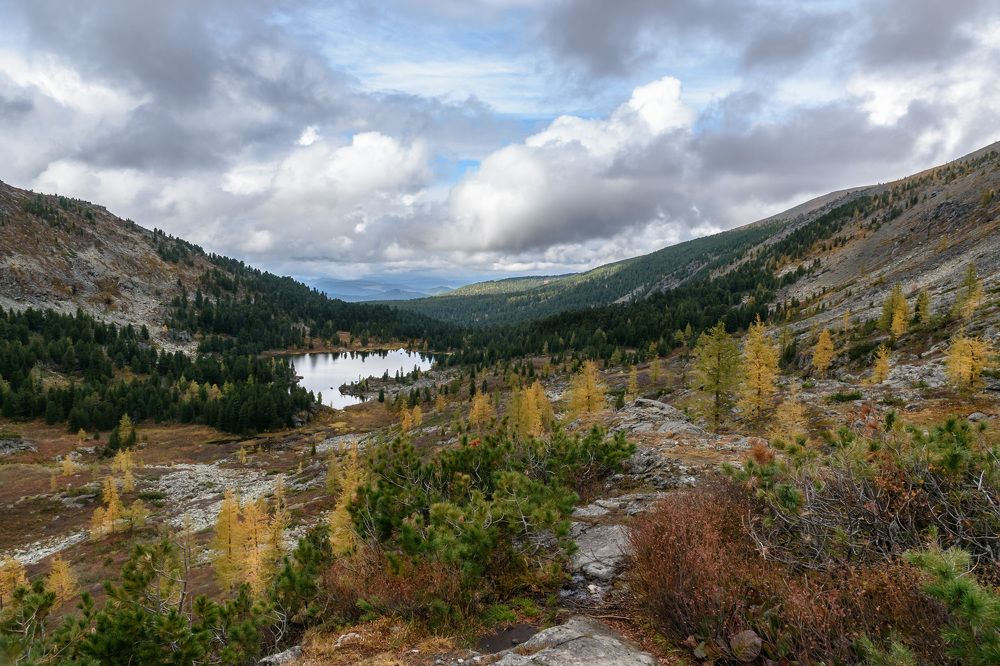 Фотография автора Мария Рохмистрова