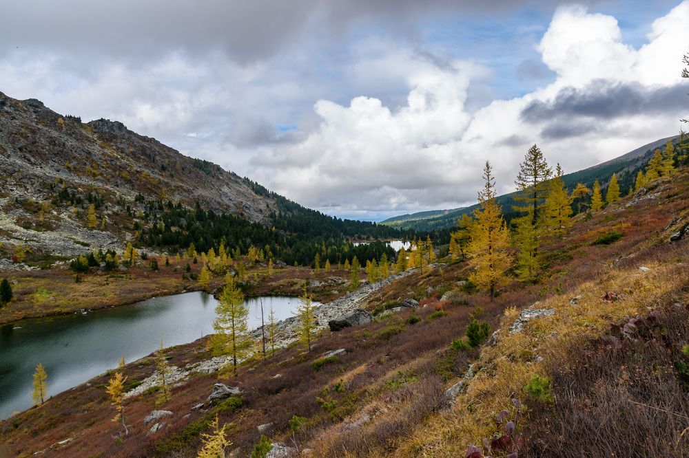 Фотография автора Мария Рохмистрова