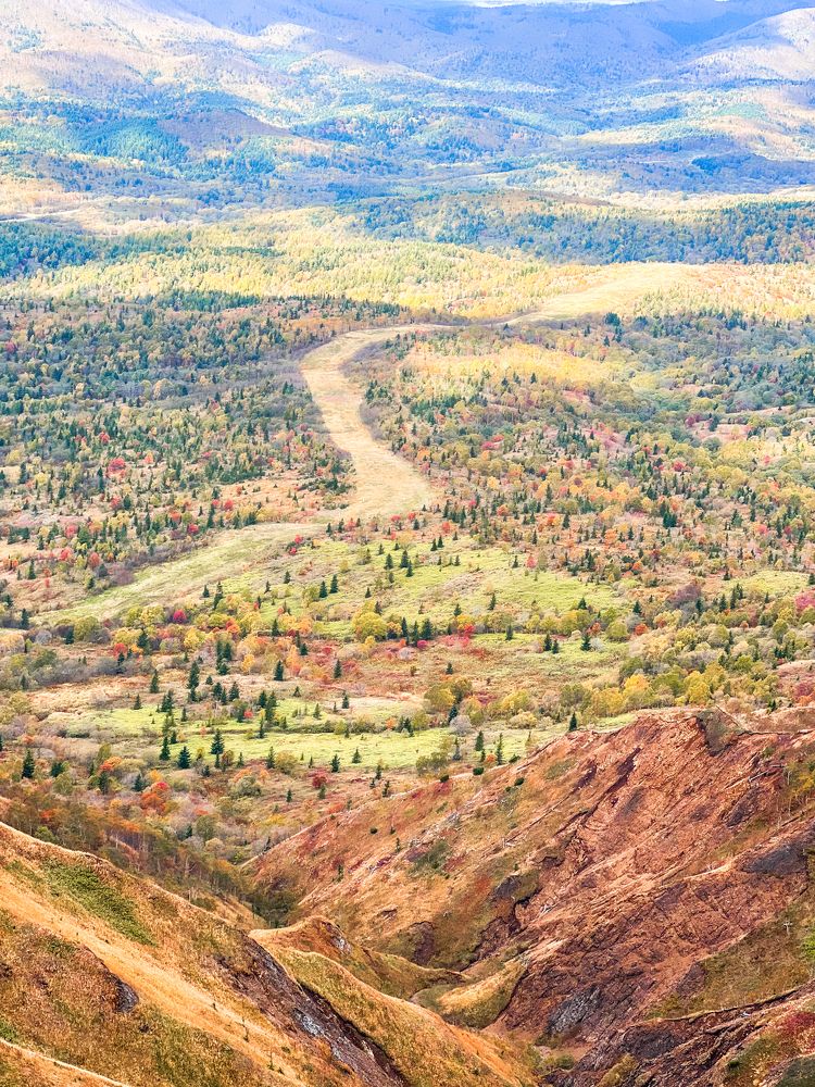 Photograph by Anna Turks