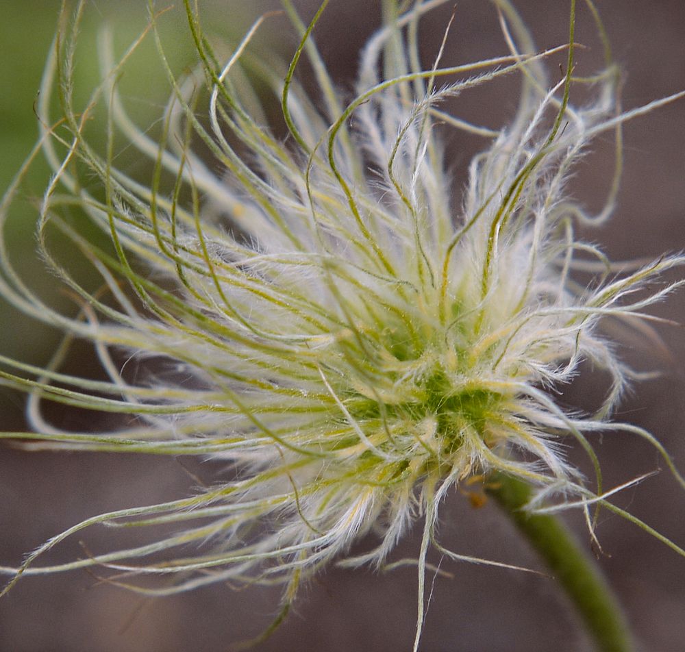 Photograph by Елена Куртеева