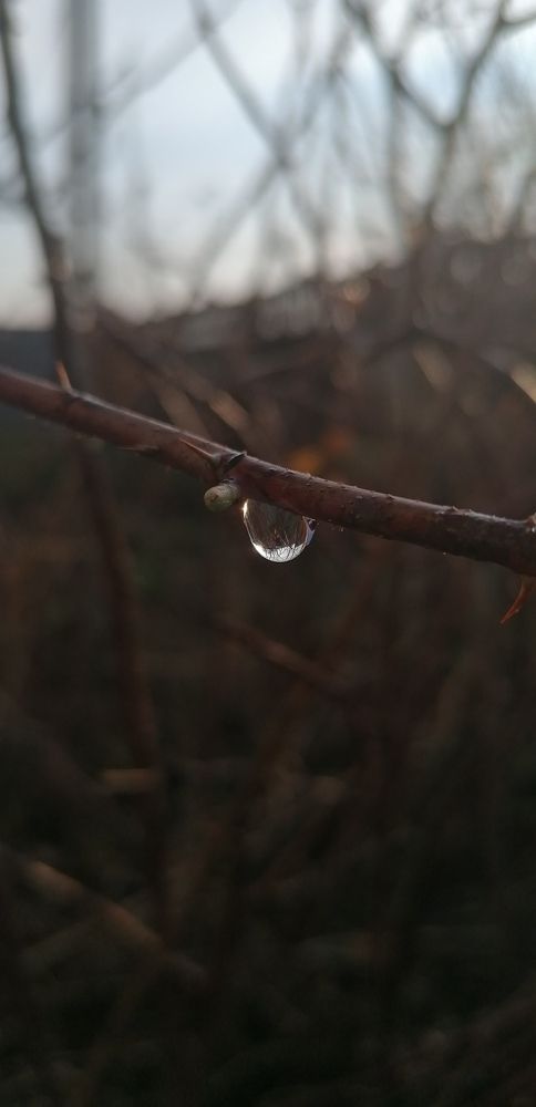 Photograph by Пшенникова Жанна