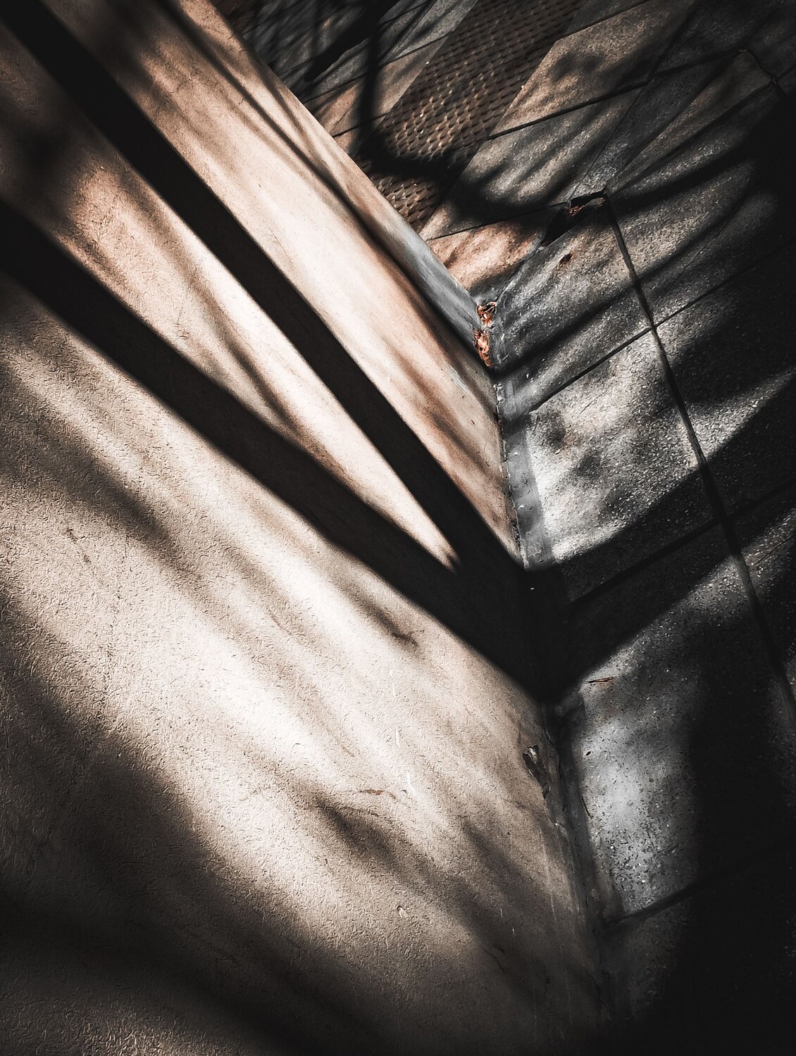 Photo #10417301