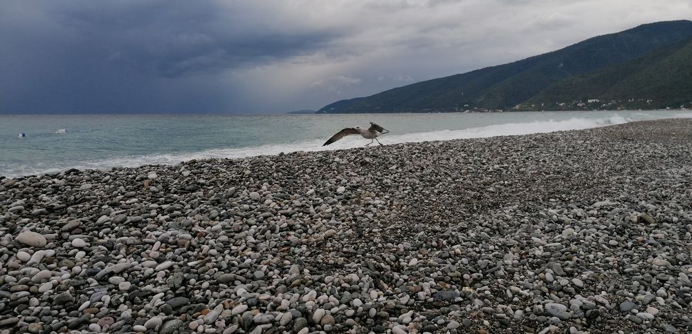 Photograph by Пшенникова Жанна