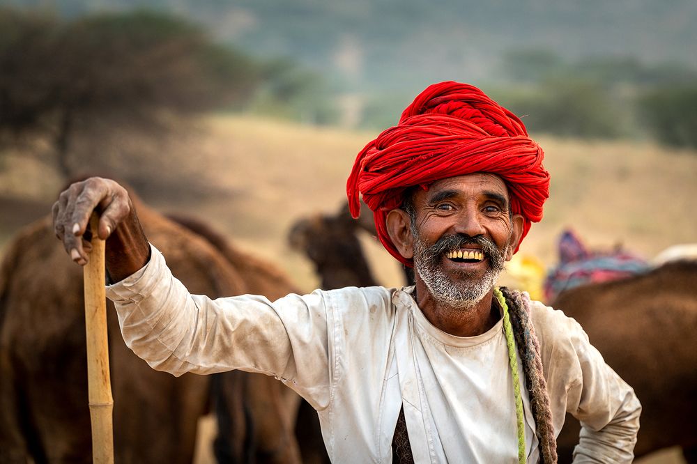 The Happy Camel Trader