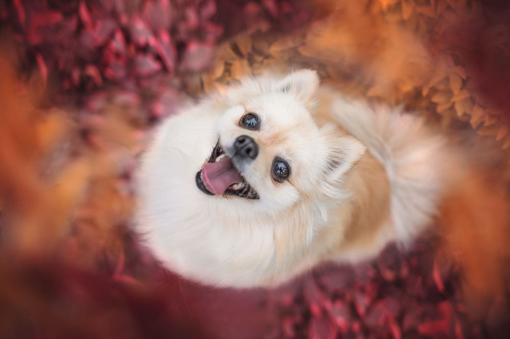 Photograph by Patricia Barros