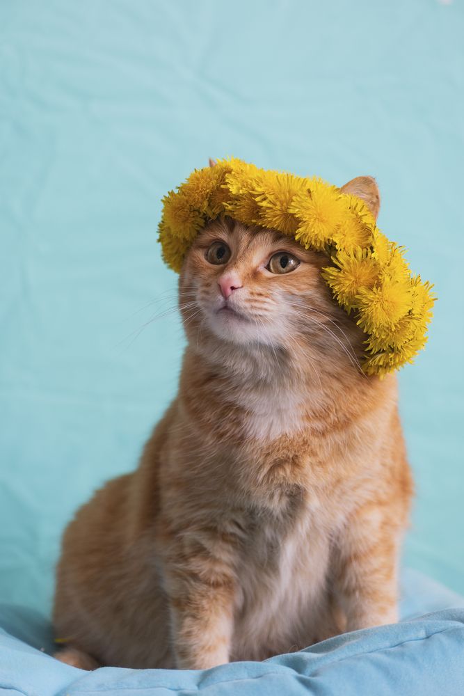 Photograph by Татьяна Акулова