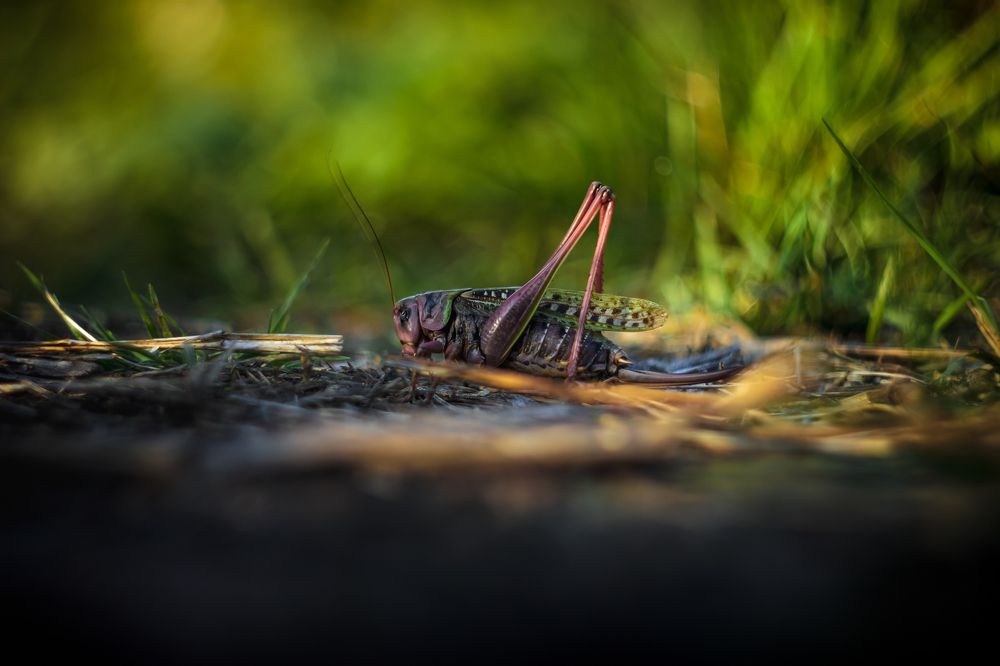 Photograph by Вячеслав Коканов
