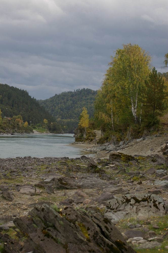 Photograph by Елена Алешкевич