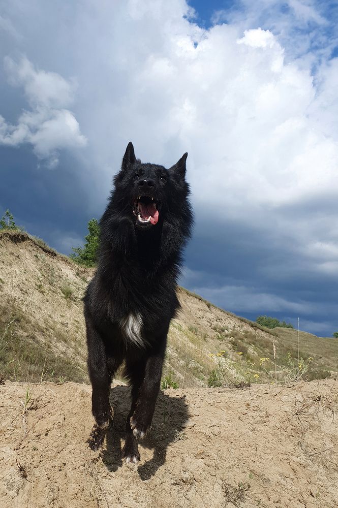 Фотография автора Надежда Лисицына