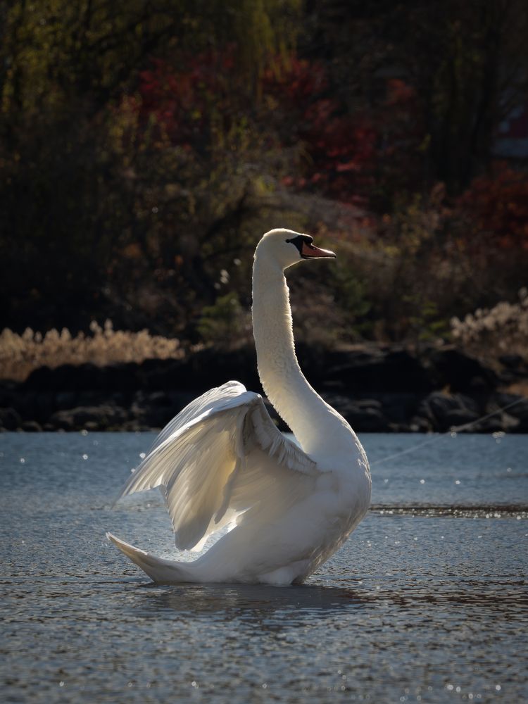 Photograph by Thamayanthi Nada Raja