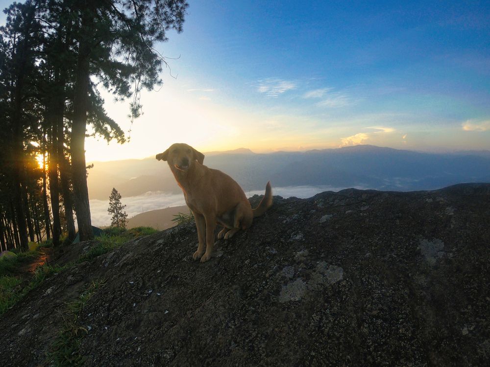 Photograph by Prabath Mihiran Rodrigo