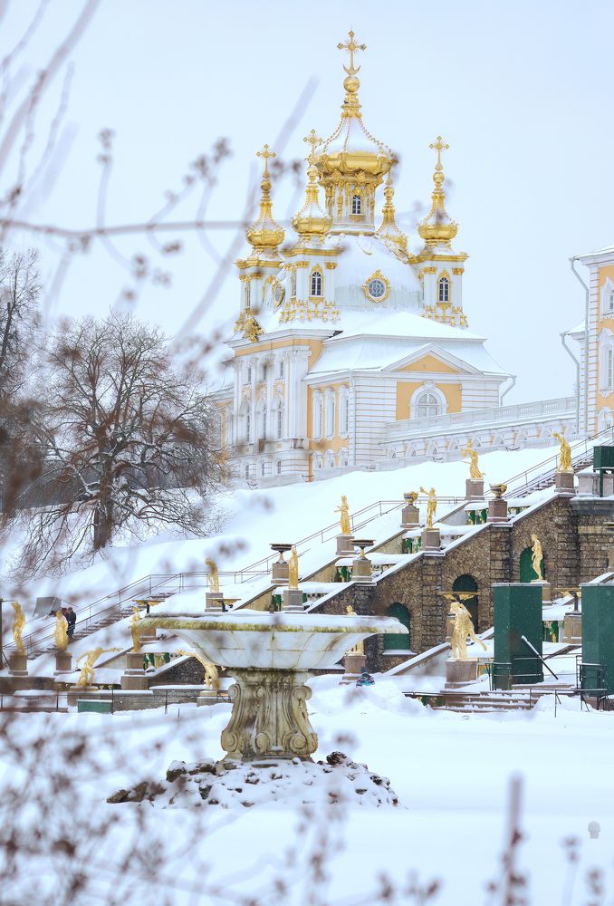 Photograph by Yulia