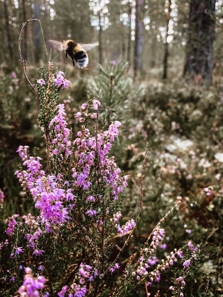 Photograph by Anastasia Kopylova