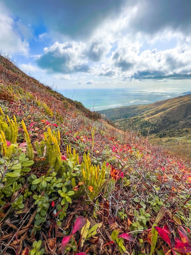 Photograph by Anna Turks