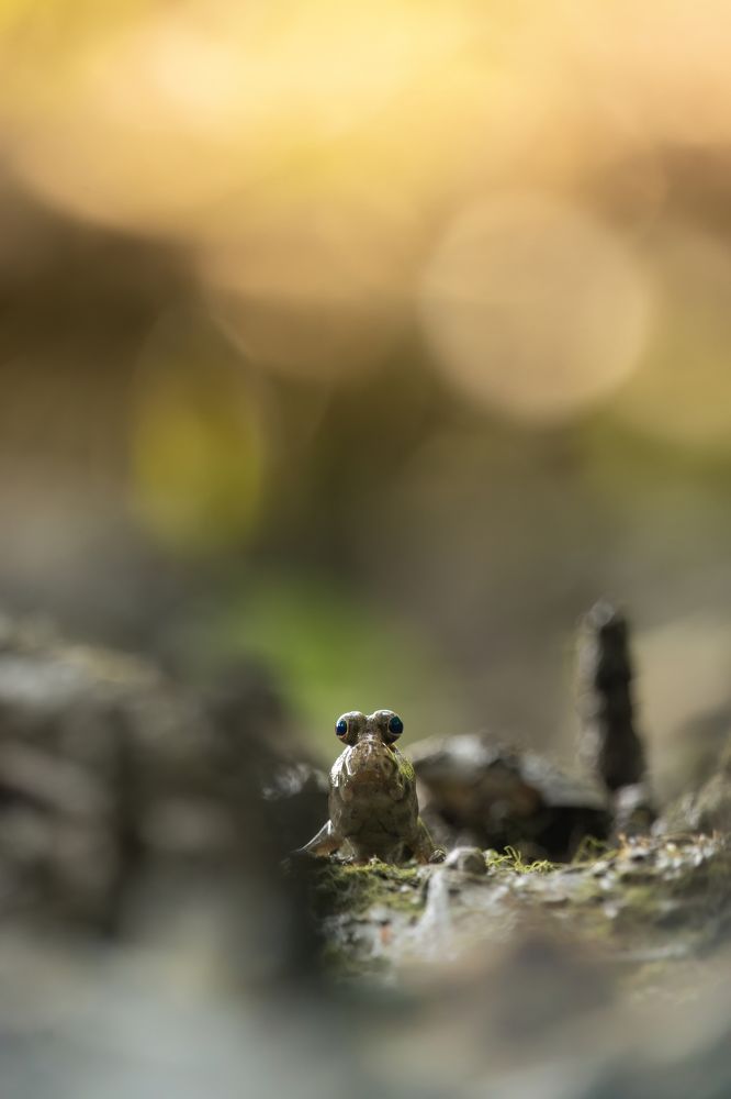 Photograph by Deepak KGK