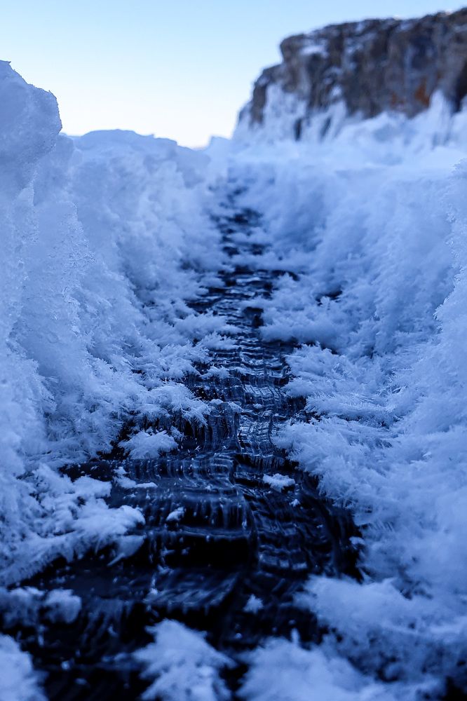 Photograph by Zelyanina Svetlana