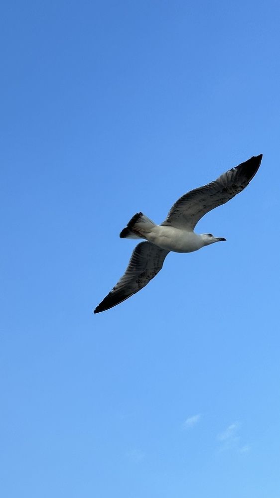 Photograph by Anna Reshnova