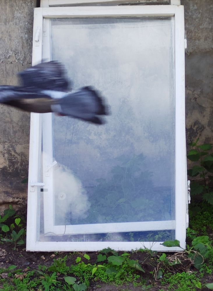 Photograph by Анна Козинова