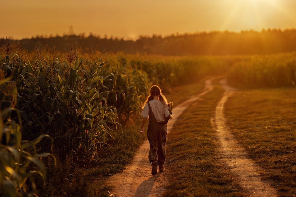 За кукурузой