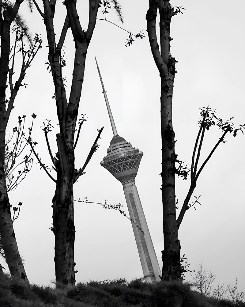 Photograph by Ali Nadri