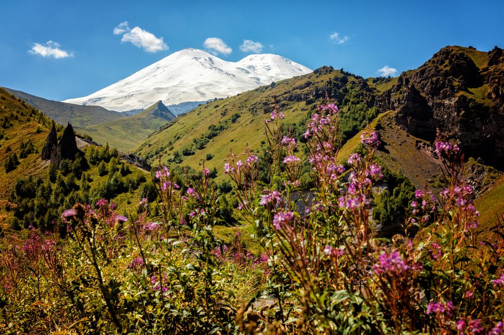 Photograph by EKATERINA WALTER