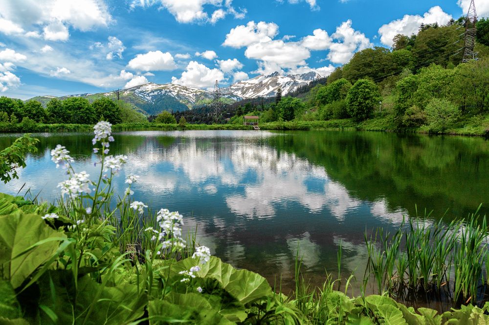 Photograph by EKATERINA WALTER