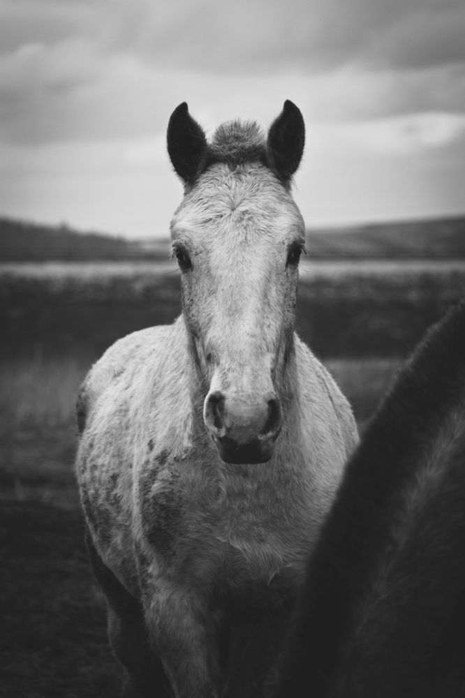 Photograph by Анна Дубинина