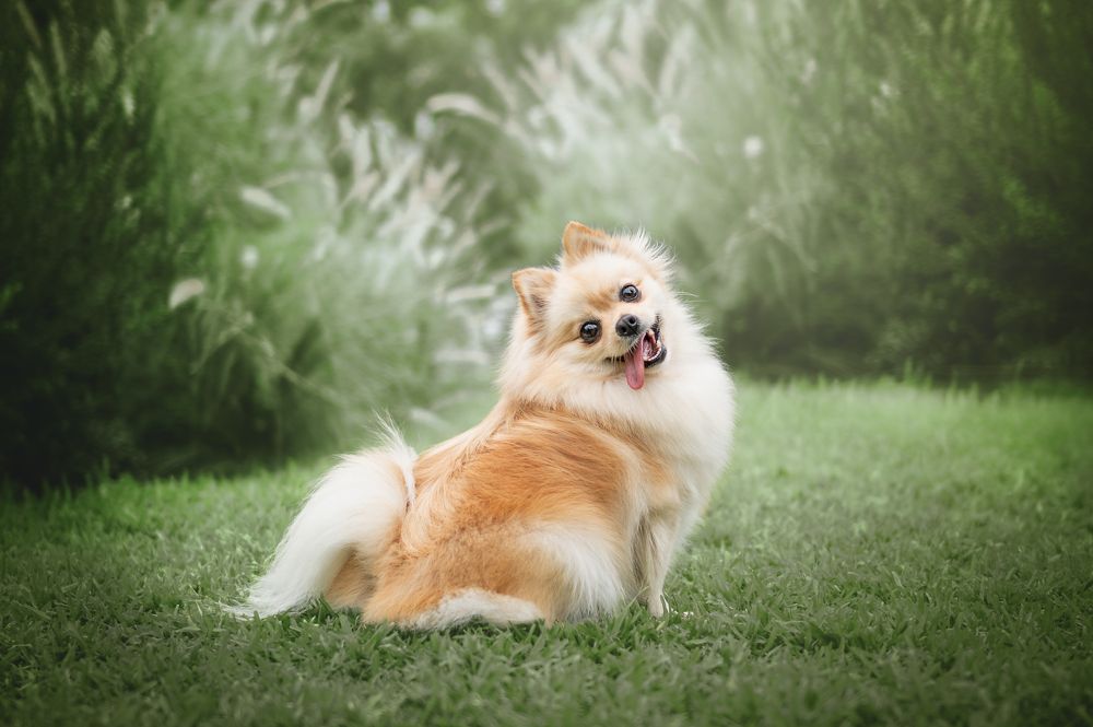 Photograph by Patricia Barros