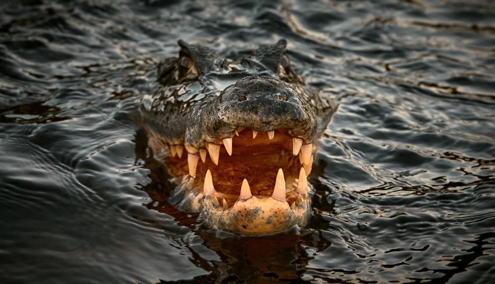 От улыбки хмурый день светлей