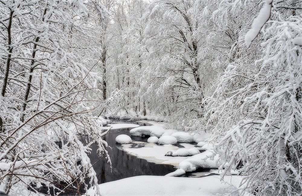 Photograph by Игорь Шишпанов