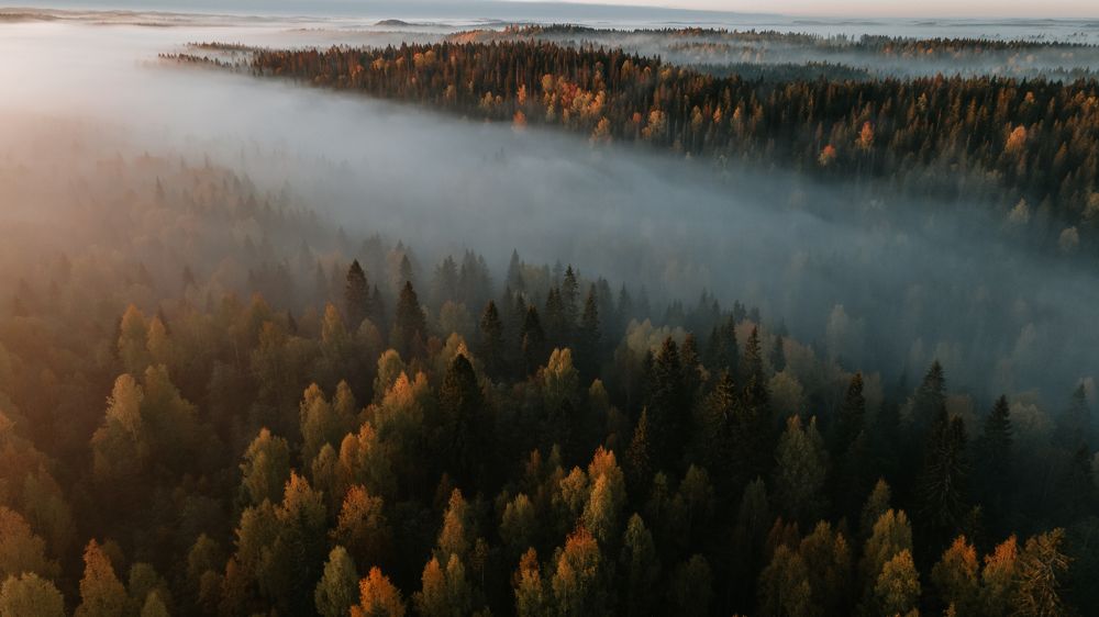 Фотография автора Андрей Дербин