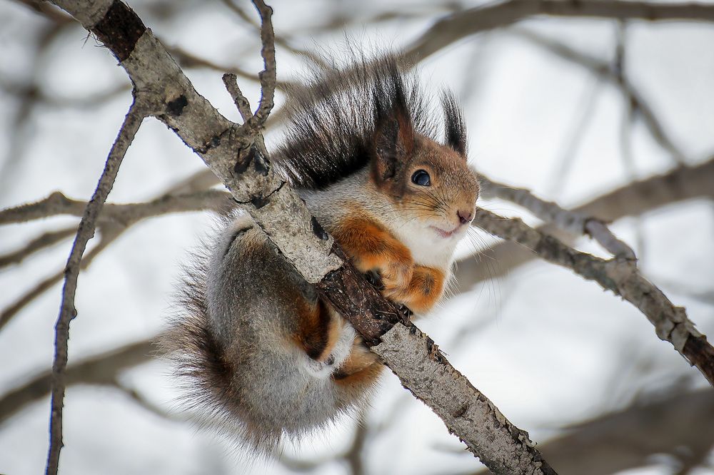 Фотография автора Юрий Фефилов