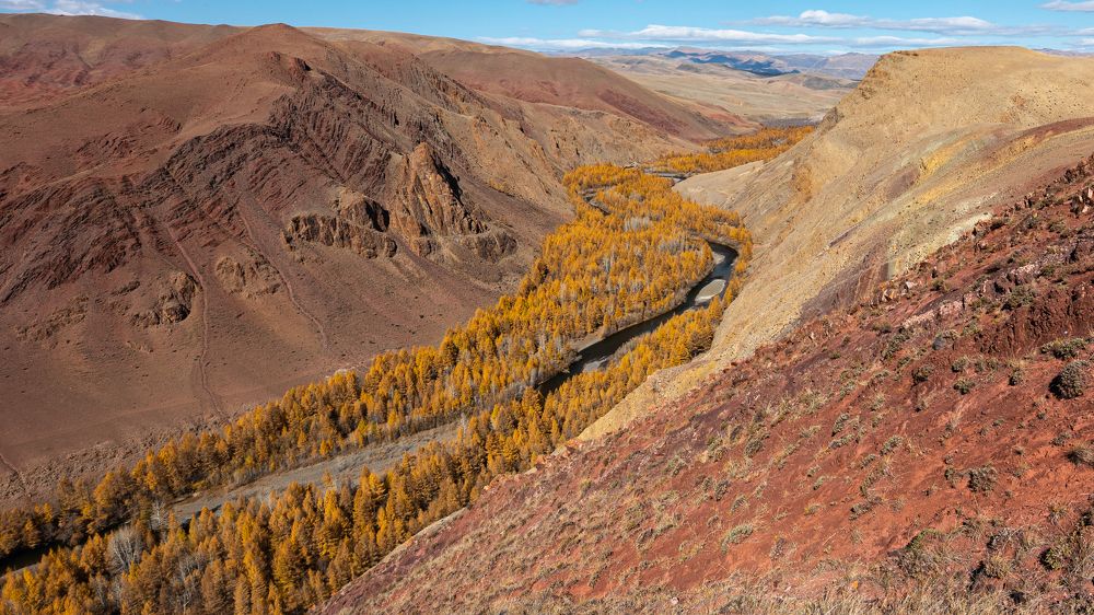 Photograph by Zelyanina Svetlana