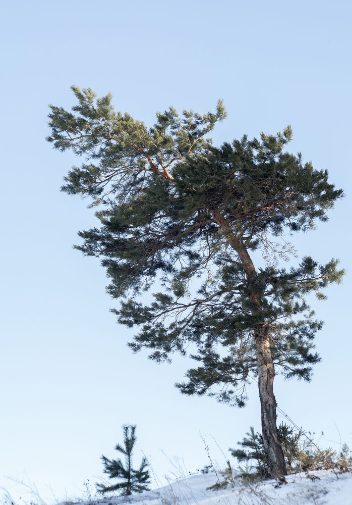 Photograph by Илья Долгушев