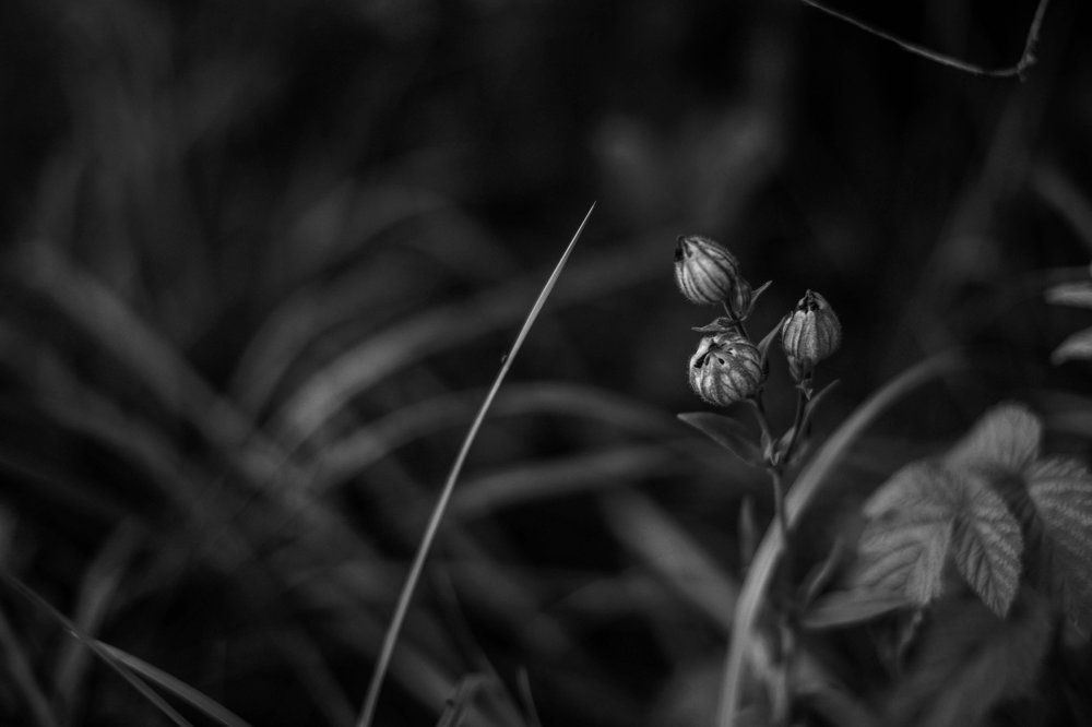 Photograph by Ольга Темкина