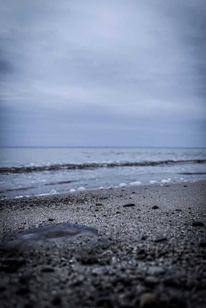 Photograph by Maxim Komissarov