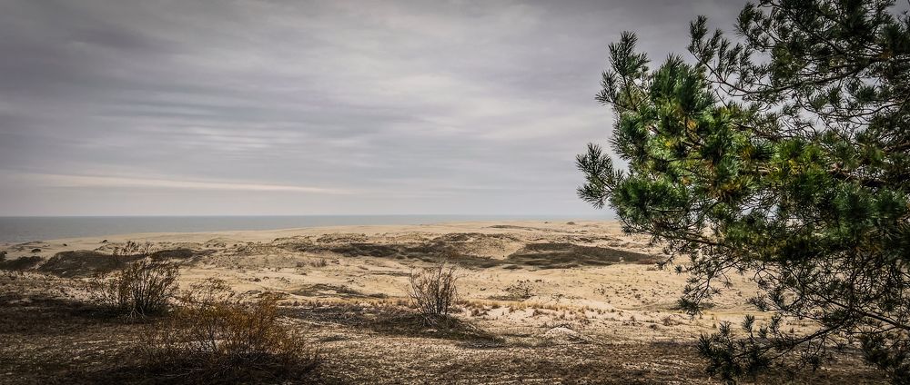 Photograph by Maxim Komissarov