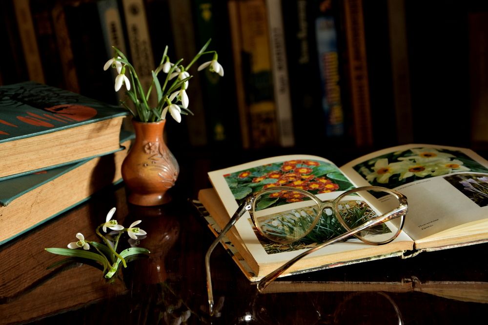 Photograph by Ирина Алексеева