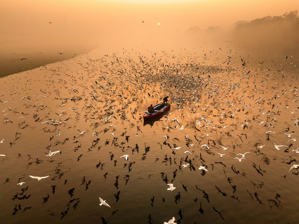 Photograph by TITTU SHAJI THOMAS