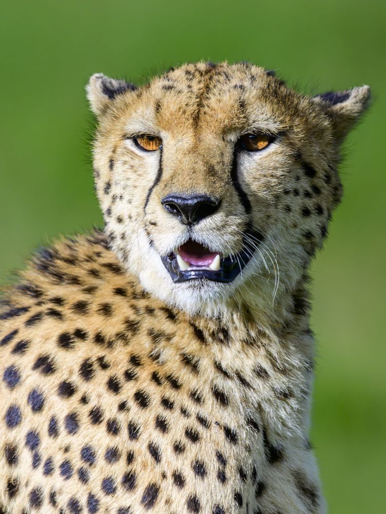 Photograph by Пупонин Сергей