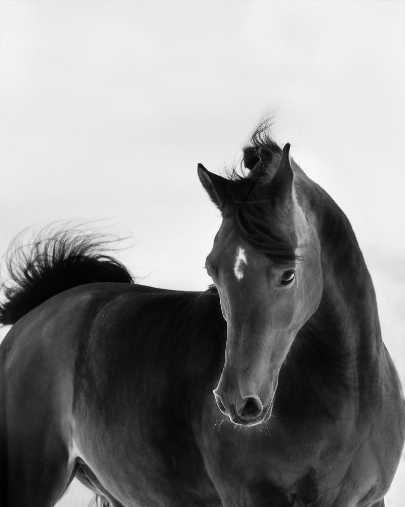 Photograph by Penny York