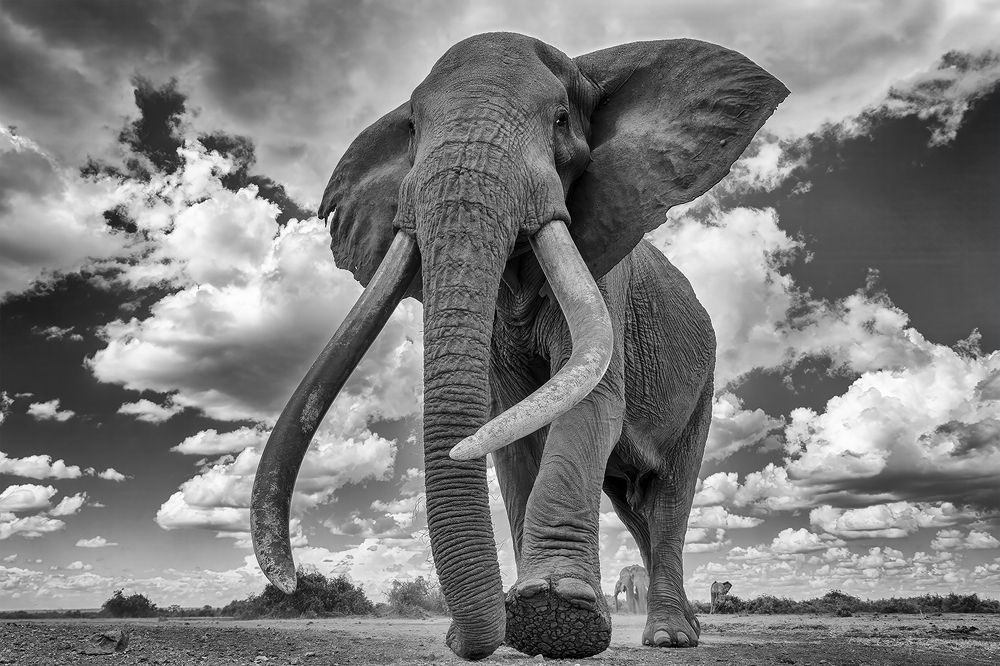 Photograph by Karthick Sridharan