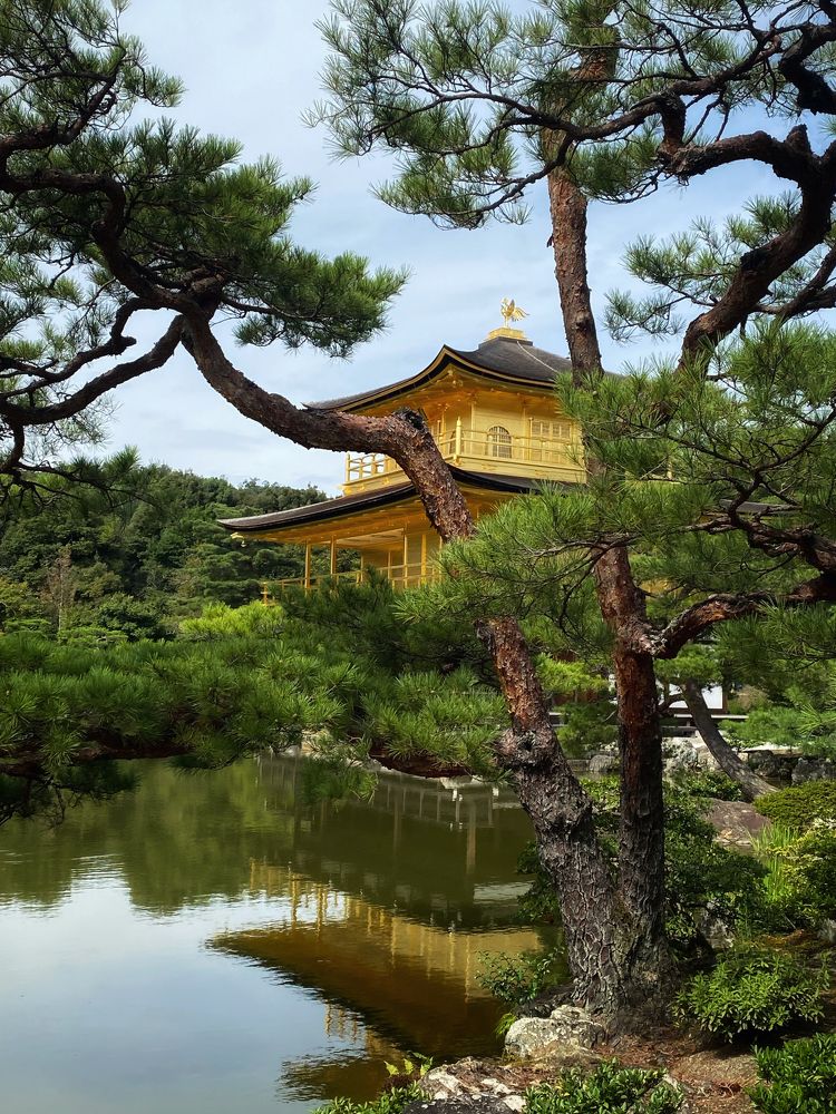 Photograph by Елена Хорошильцева